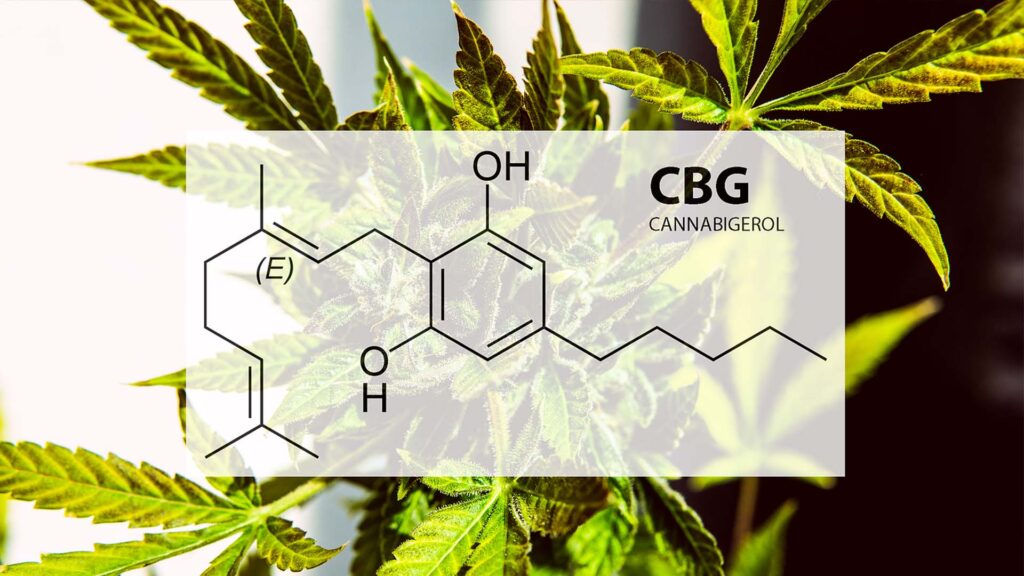 Photo of CBG molecular composition with marijuana leaf in the background